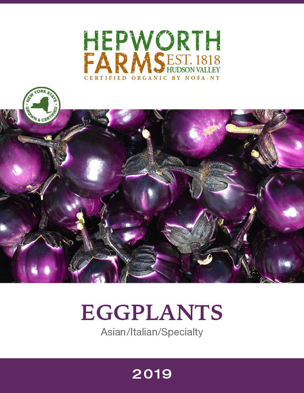 eggplant catalog
