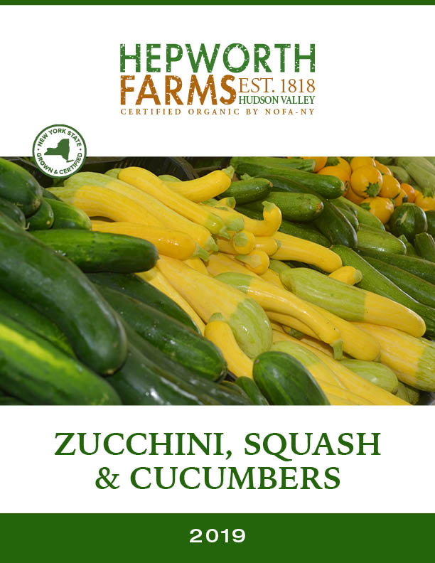 zucchini squash cucumber catalog