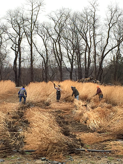 men in field