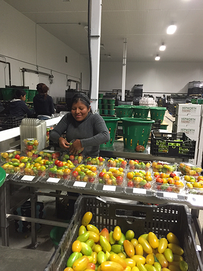 woman in packing house