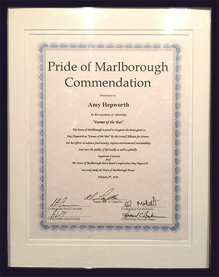 Pride of Marlborough award to Amy