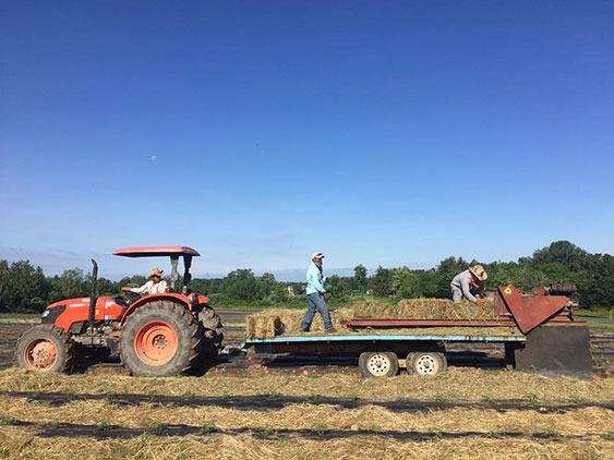 men and hay truck