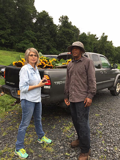 sunflowers in truck