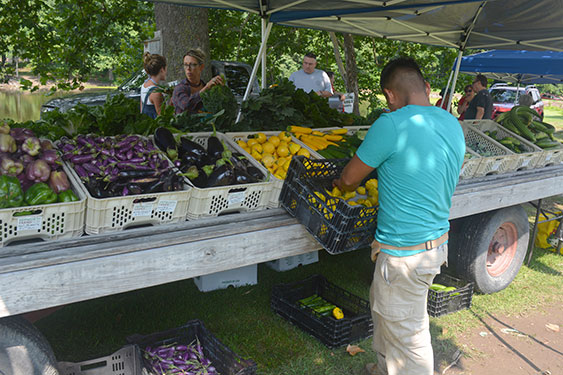 Filling up patty pans at the market