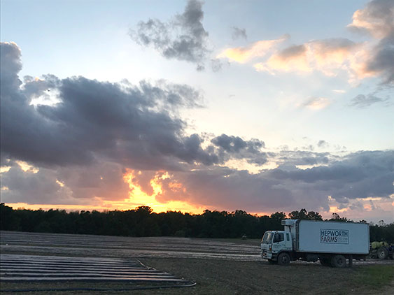 Sunrise Field Truck