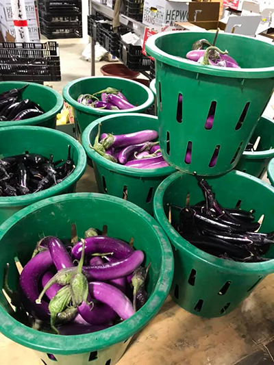 Eggplant Baskets