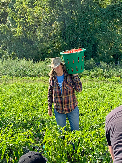 amy carrying vegetables in field