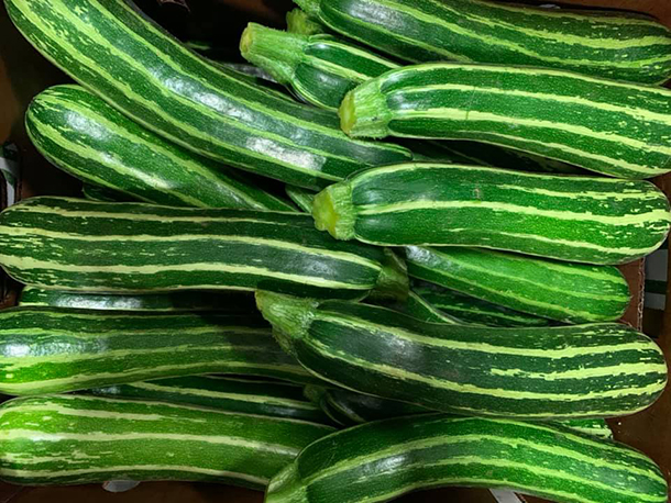 Striped zucchinis