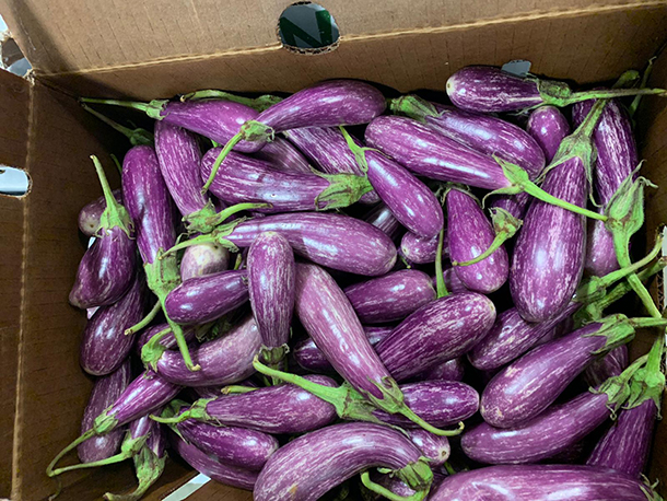 Fairytale eggplants