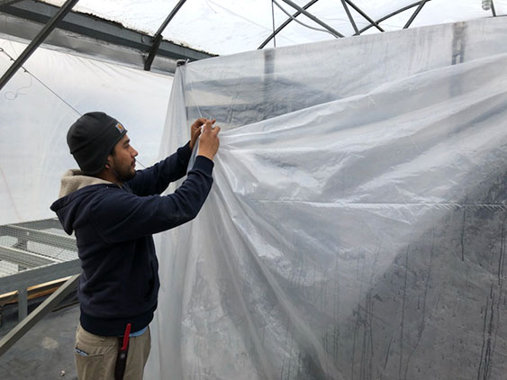 germination chambers in the greenhouse