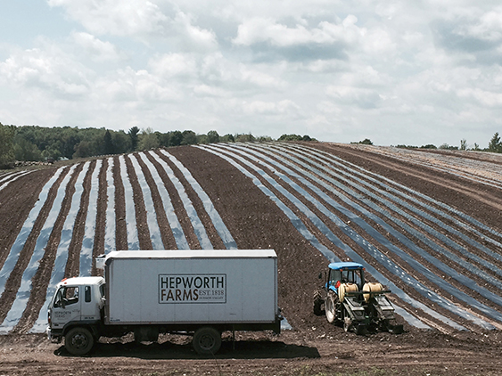 truck in front of plastic rows