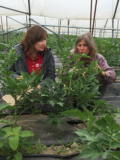 Amy giving a leaf sample