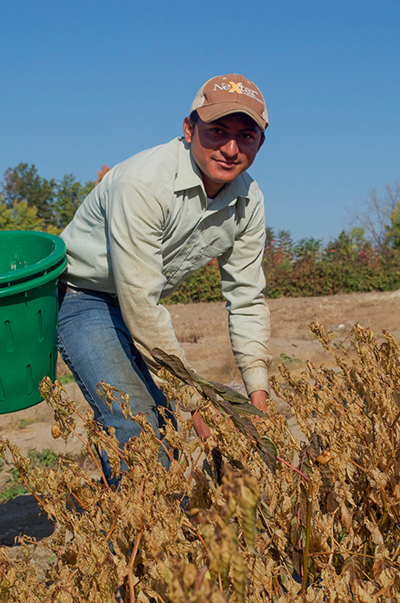 Man in Field