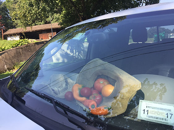 Produce on dashboard