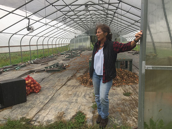 gerry in greenhouse