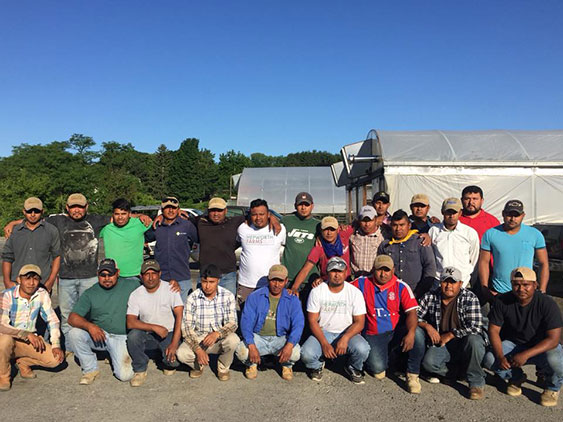 Hepworth Farms H2A workers