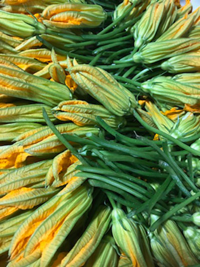 zucchini flowers