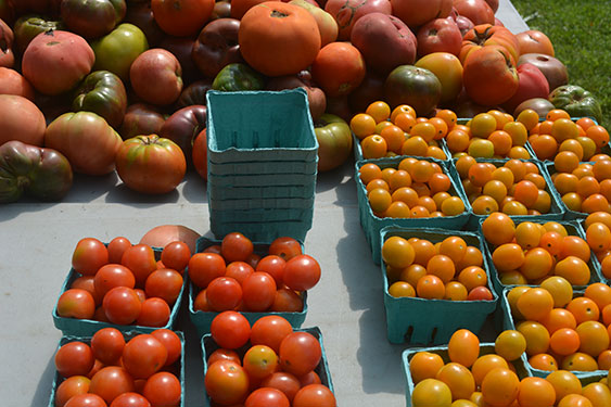 Tomatoes at the farm market