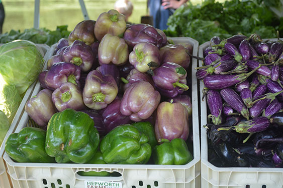 Peppers and Eggplant