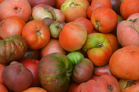 Heirloom Tomatoes