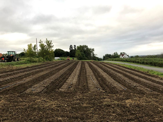 View of Field