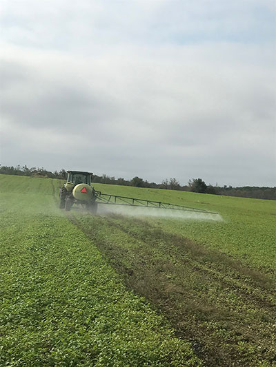 Feeding our cover crop