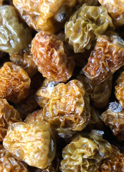 Dried Gooseberries/Ground Cherries Closeup