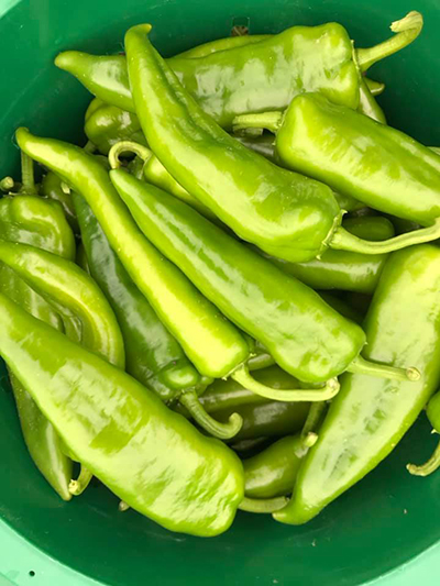 Highlander Peppers