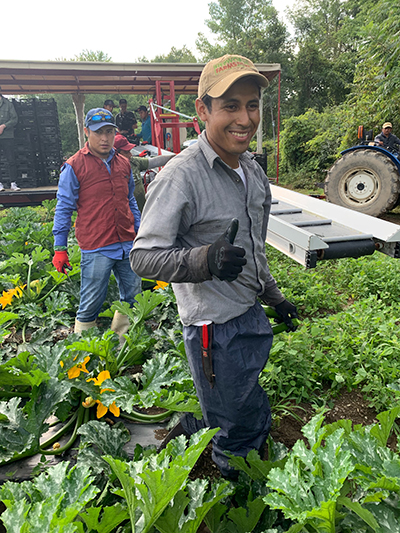 two men working hard