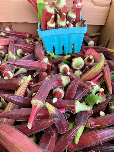 red okra