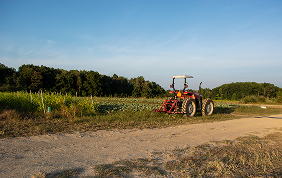 tractor in field at sunset