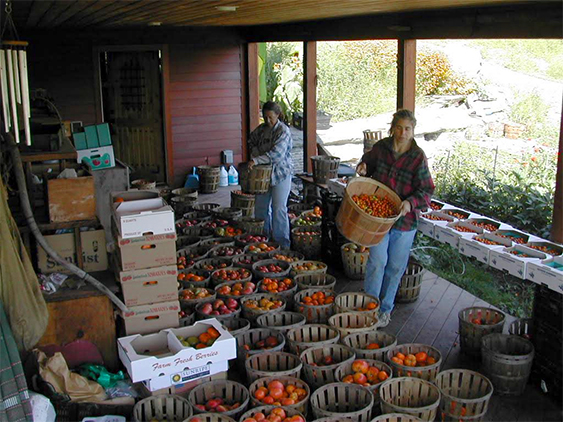 amy and gerry with tomatoes