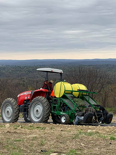 planting seedlings in ground via tractor