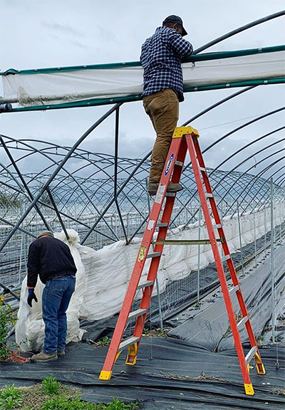 men putting up high tunnels