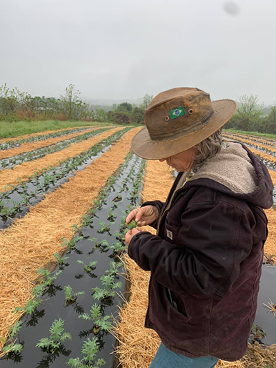 amy assessing kale fields