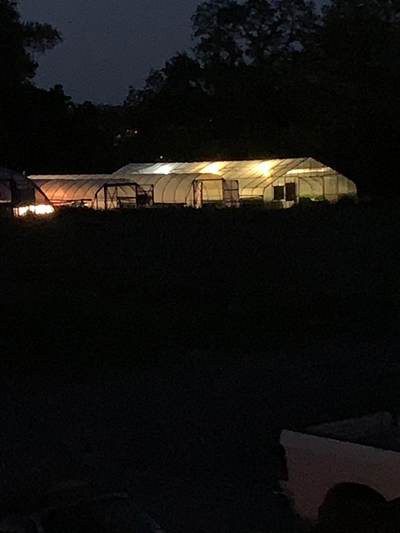 greenhouse at night