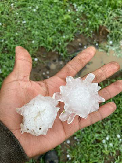 hail in amy's hand