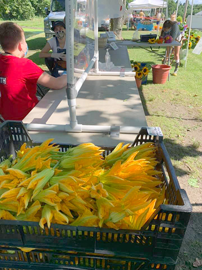 zucchini flowers at farmers market