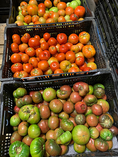 heirloom tomatoes