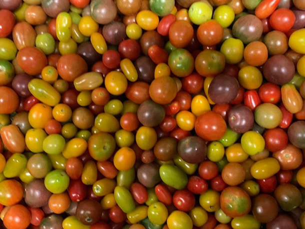 cherry tomatoes