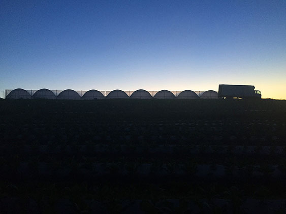 Tunnels and sky image