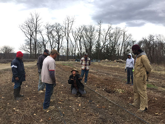 amy in field with men