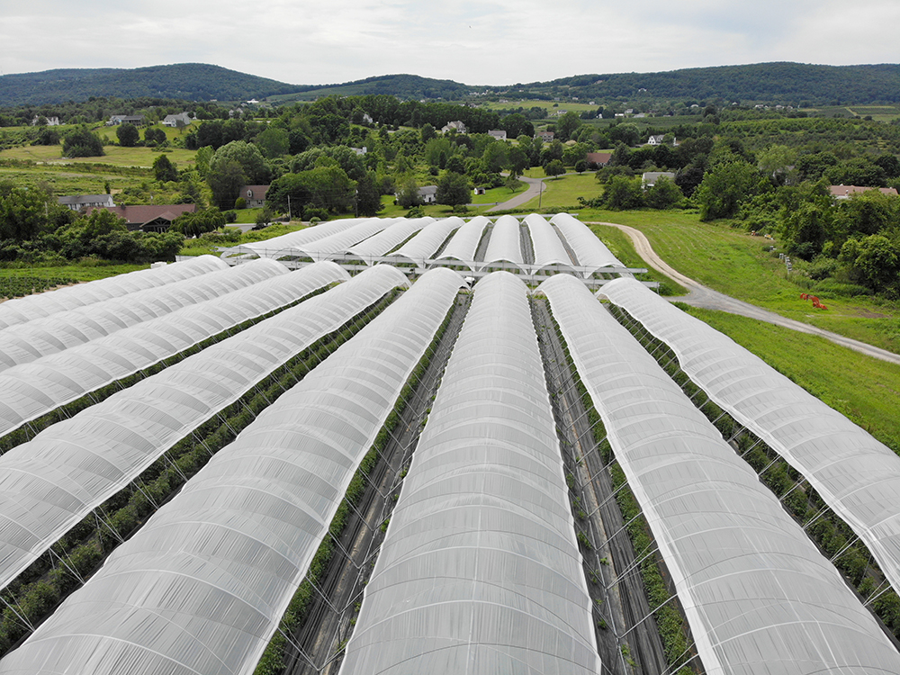 High Tunnels