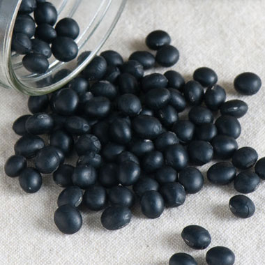 Black Jet Soy Bean